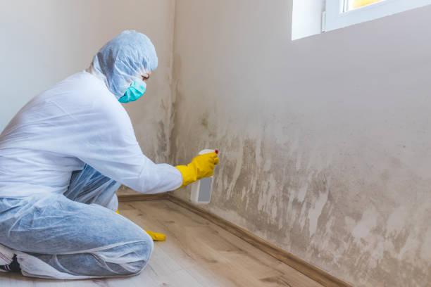 Mold inspector in Dupont performing thermal imaging